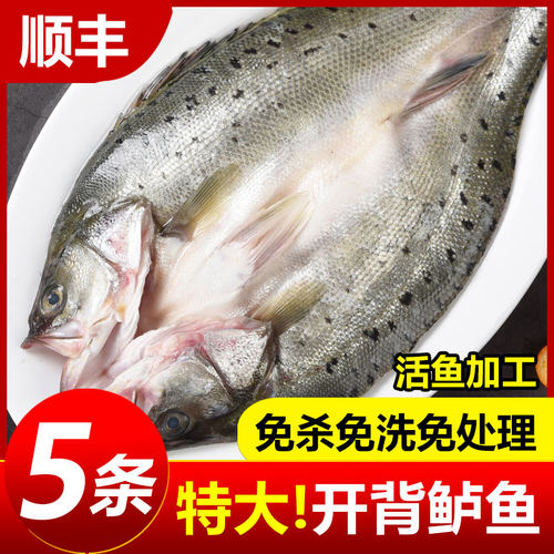新鲜开背海鲈鱼，活鱼鲜杀