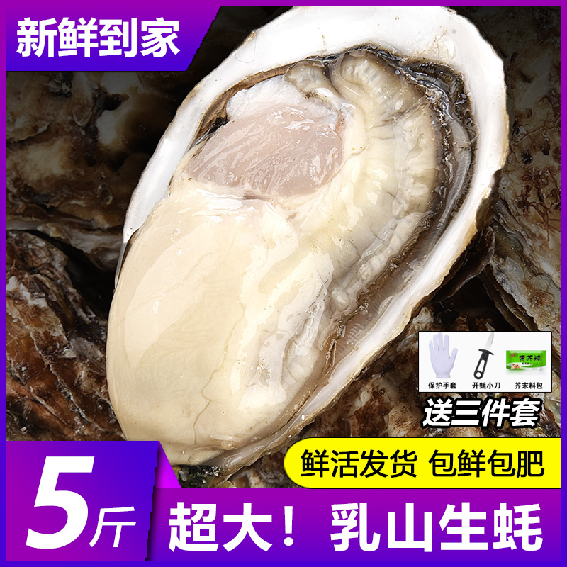 特大乳山生蚝鲜活10新鲜海蛎子5斤带箱海鲜超大牡蛎贝壳即食水产-封面