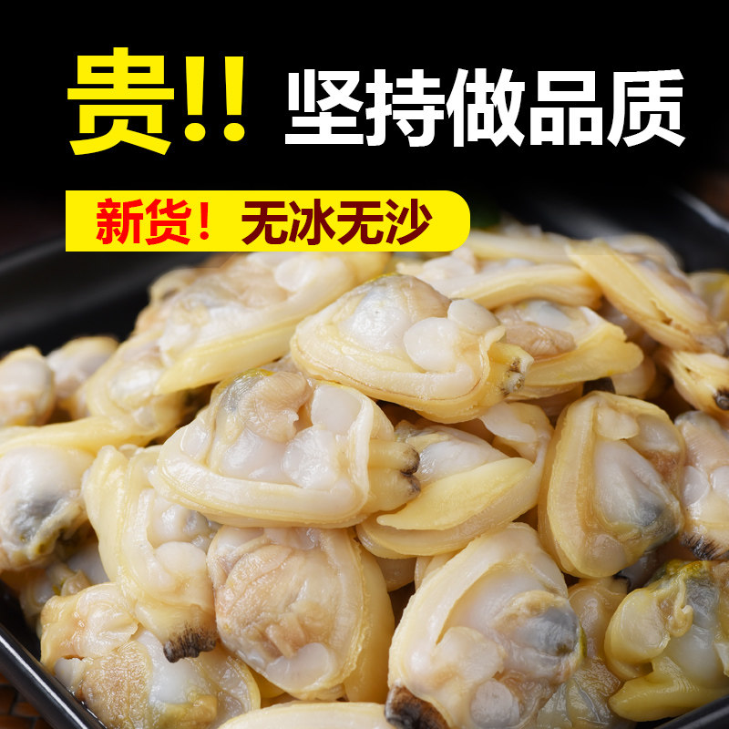 蛤蜊肉花甲鲜活花蛤黄蚬子肉花甲肉新鲜花螺海螺海鲜贝非干货即食,水产肉类/新鲜蔬果/熟食,贝类制品,淘宝优惠券,粉丝福利购,淘宝优惠卷