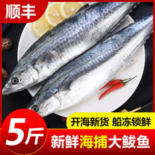大鲅鱼新鲜活鲐鲅鱼马鲛鱼大整条冷冻青花鱼马友鱼海鲜马交鱼批发