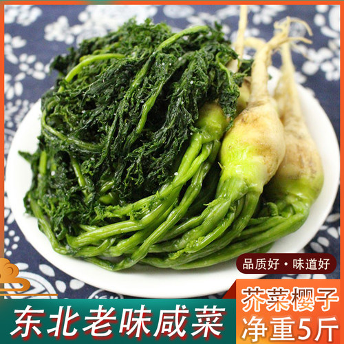 26年新菜芥菜樱子东北芥菜疙瘩咸菜腌菜新鲜头生嘎达农家芥菜樱子