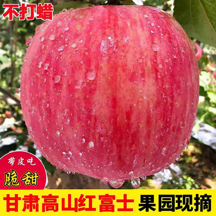 甘肃秦安红富士苹果脆甜多汁果园直发新鲜应当季水果现摘头茬新果