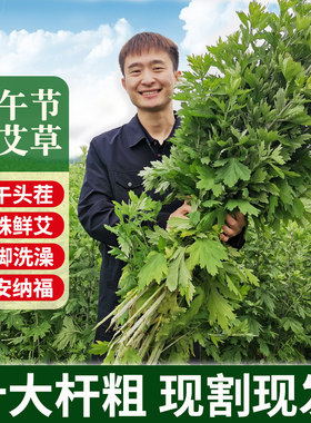 端午节新鲜艾草蒿野生陈年干艾草叶diy花束产妇坐月洗头泡脚药包