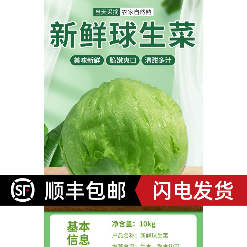 20斤包邮圆生菜新鲜汉堡用西餐新鲜蔬菜沙拉食材结球形圆型西生菜