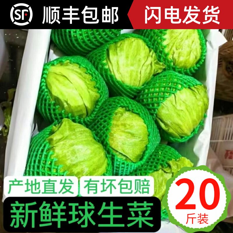 云南球生菜20斤装汉堡用西餐新鲜蔬菜沙拉食材结球形圆型西生菜