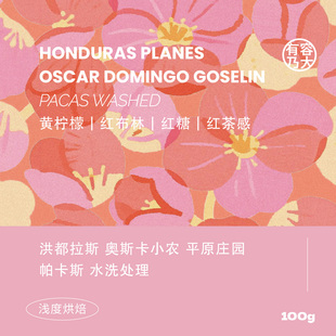 有容乃大洪都拉斯奥斯卡小农平原庄园帕卡斯水洗浅焙手冲咖啡豆