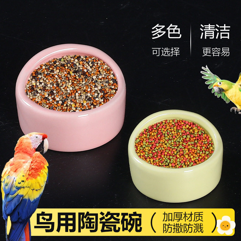 鹦鹉陶瓷防溅食碗2033