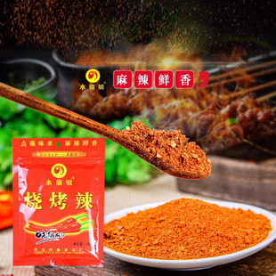水蘭姐烧烤辣烤肉蘸料360g袋装云南辣椒蘸水调味料烧烤料蘸料