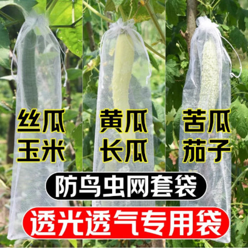 瓜果专用防虫网眼套袋