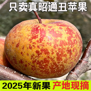 包郵 大涼山 整箱紅富士 25年正宗云南昭通丑蘋果冰糖心新鮮水果當(dāng)季
