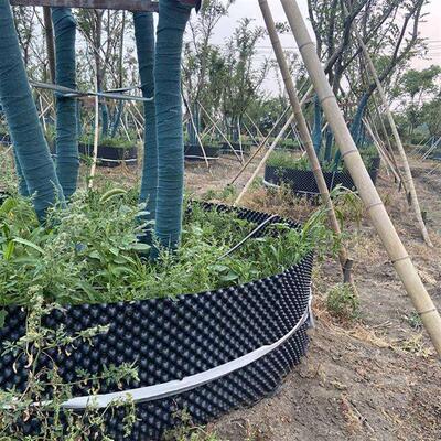 景观树围栏控根器新料pvc种植用围土栏防止水土流失排水板