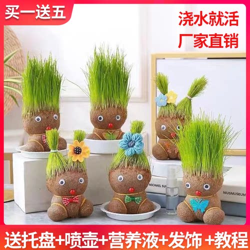草头娃娃小盆栽抖音同款