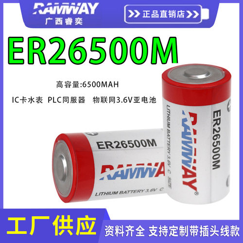 RAMWAY电池厂家直销品质有保障