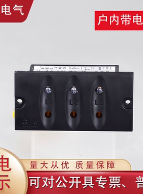 高压带电显示器L-6Q/T开孔32*55户内GSN置配CG5-10Q传感器开关柜