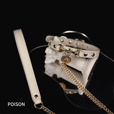 Poison 铃铛Choker项圈女锁骨颈带刻字原宿亚文化puppy皮质项链