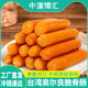 中漯博汇脆骨肠台湾风味香肠鸡肉热狗肠火腿肠烤肠手抓饼肠烧烤