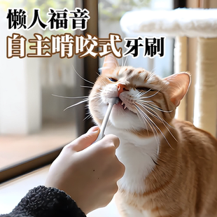 咖家kojima宠物牙刷牙膏猫咪刷牙专用可食用狗狗口腔牙齿清结套装