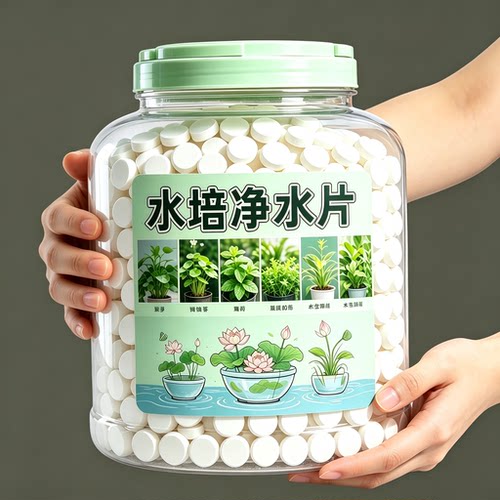 水培净水片水净如镜植物蹭蹭长