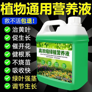 植物通用营养液土培水培发财树绿萝富贵竹盆栽室内外开花促绿肥料
