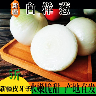 新疆特产白皮牙子白洋葱水果洋葱甜味可生吃生吃不辣的蔬菜皮芽子