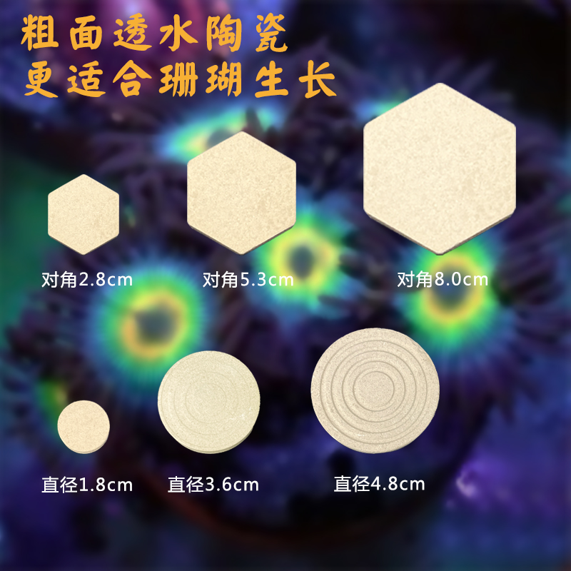 珊瑚基座陶瓷海水繁殖底座六角圆形硬骨断枝纽扣t型无释放