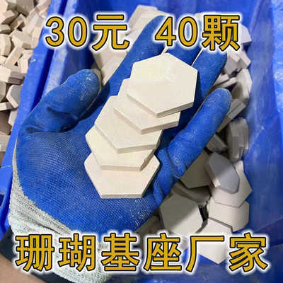 六角珊瑚基座5.3CM陶瓷烧制软体珊瑚硬骨断枝繁殖粗糙透水有效长