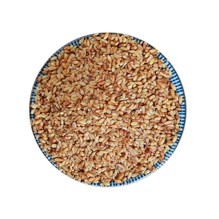 柏子仁中药材250g去壳泡茶药用磨粉柏籽仁柏子仁中药饮片柏子仁粉