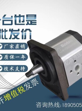 博顿Boden齿轮泵BKP0.5B/1Q0/1B0油泵BAP1B0/1A0/BHP/BDP/BHM系列