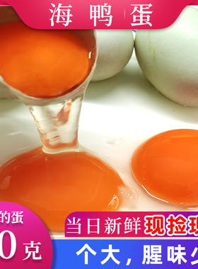 广西新鲜海鸭蛋现捡红矮树林海鸭蛋新鲜土农家散养海鸭蛋80克大蛋