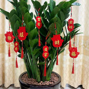 新年乔迁开业进宅大吉布置摆发财树福字门贴灯笼迎宾挂件喜庆装 饰