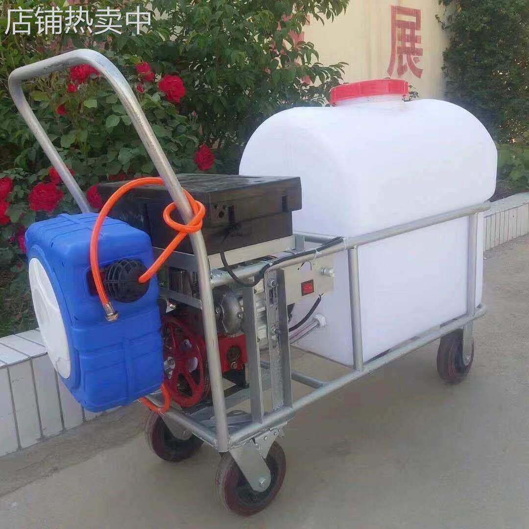 山东厂家消毒推车式手推式电动打机压农用汽油动力喷雾器打