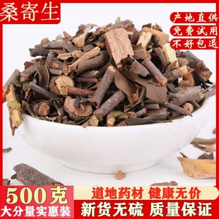 桑寄生500克包邮 无硫桑寄生茶 桑树寄生干 广寄生 冬青槲寄生