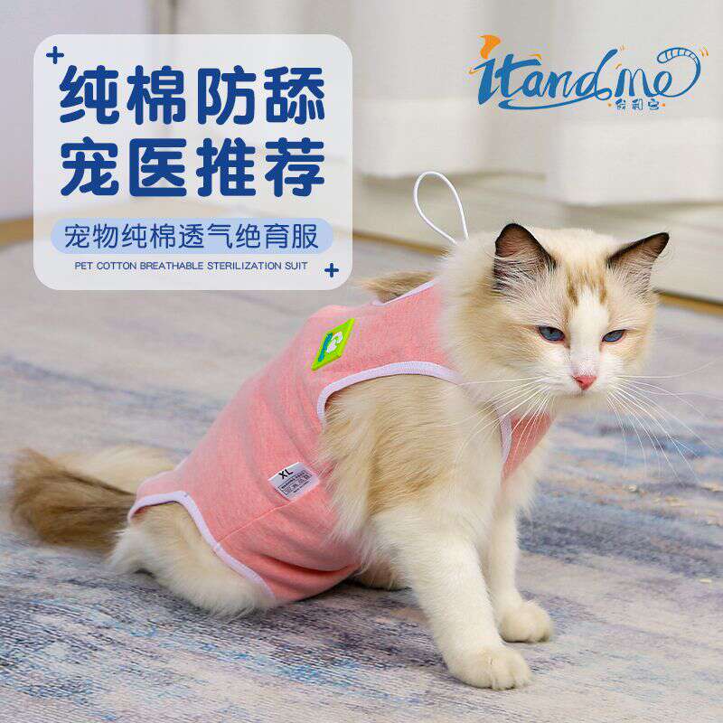 宠物绝育服 断奶服猫咪术后服全棉透气布偶猫蓝猫宠物用品