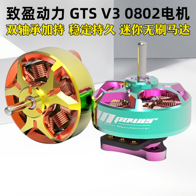 致盈动力GTSV30802电机微型