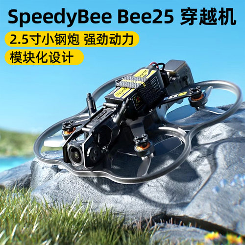 Bee25穿越机大疆DJIO4天空端
