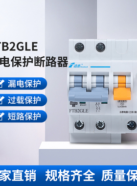 法泰FTB2GLE-C系列断路器漏电保护空气开关空开家用63A总闸保护器