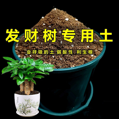 发财树花卉弱酸性种植园专用土