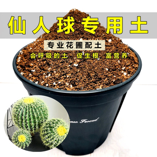 仙人球专用土园艺种植土弱酸性通用型营养土仙人掌盆栽培养土新土