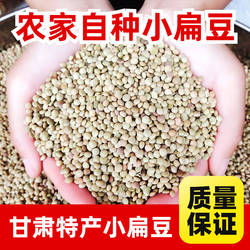 当季小扁豆甘肃会宁特产农家高原扁豆种子干货兵豆可生豆牙菜包邮