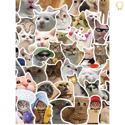 50PCS Cat MEME Funny Animals Stickers Vintage Toy 贴纸不干胶