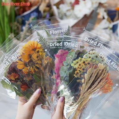 Weekend flower shop series Decorative Stickers Scrapbooking