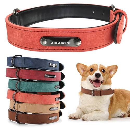 pet dog tag collar puppy cat id collars medium 宠物项圈狗圈
