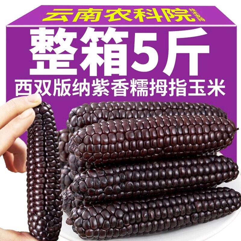 西双版纳紫糯黑拇指玉米宝宝代餐早餐小手指软糯香糯迷你真空袋装