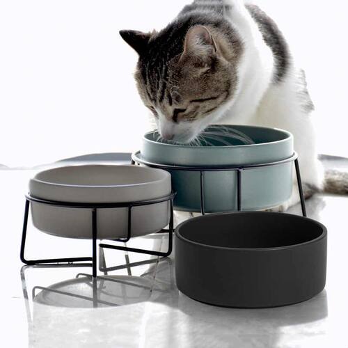 新品陶瓷猫碗猫咪食盆狗盆狗碗饮水碗粮碗保护颈椎陶瓷黑色宠物碗