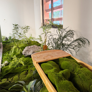 苔藓造景仿真绿植景观餐厅过道玄关植物盆栽装饰假植被软装花草