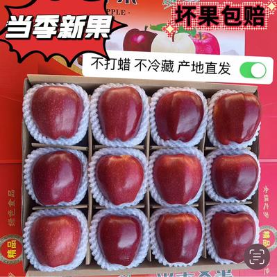 天水市花牛苹果软糯香甜新鲜采摘