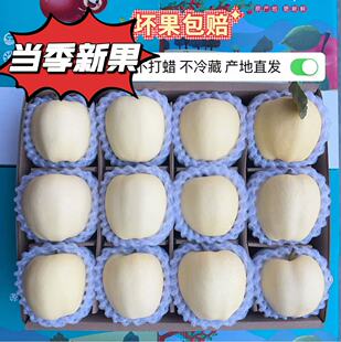 甘肃秦安苹果黄元帅黄金果黄焦当季新鲜水果礼品现摘现发整箱包邮