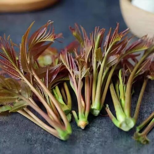 新鲜香椿芽嫩芽野生露天红油香椿