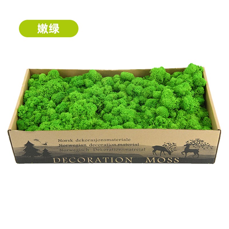 仿真苔藓植物背景墙室内景观绿植苔藓墙面装饰假青藓挂壁景观造景