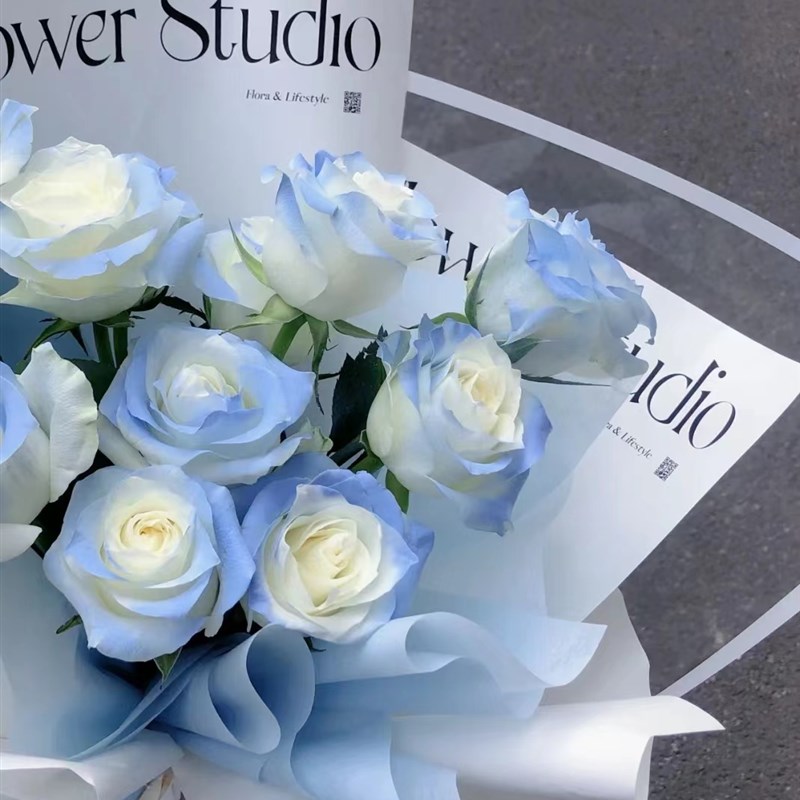 云南基地直发鲜花速递玫瑰花束喷色梦幻人鱼姬密西根碎冰蓝黑骑士